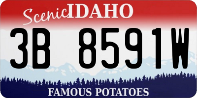 ID license plate 3B8591W