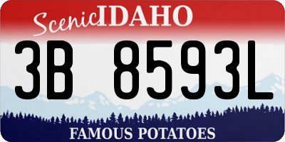 ID license plate 3B8593L