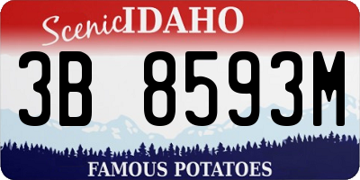 ID license plate 3B8593M