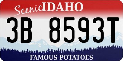 ID license plate 3B8593T