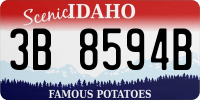 ID license plate 3B8594B