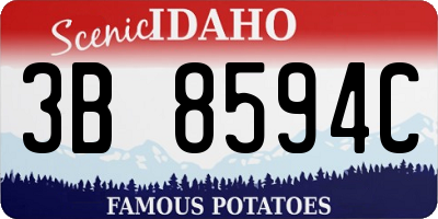 ID license plate 3B8594C