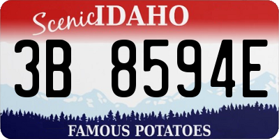 ID license plate 3B8594E