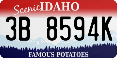 ID license plate 3B8594K