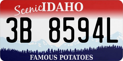 ID license plate 3B8594L