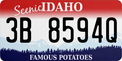 ID license plate 3B8594Q
