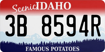 ID license plate 3B8594R