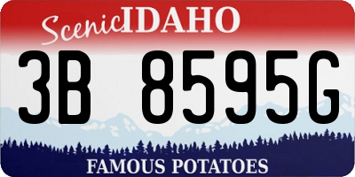 ID license plate 3B8595G