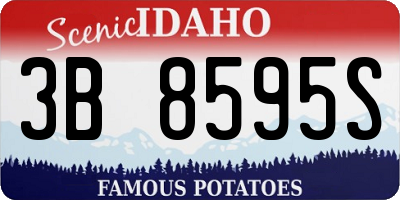 ID license plate 3B8595S