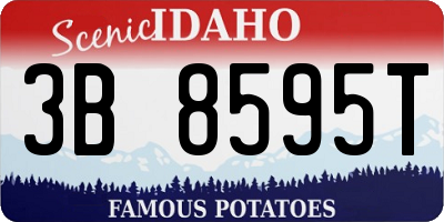 ID license plate 3B8595T