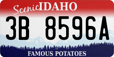 ID license plate 3B8596A