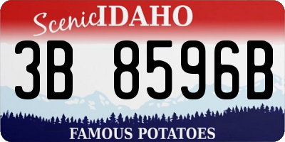 ID license plate 3B8596B