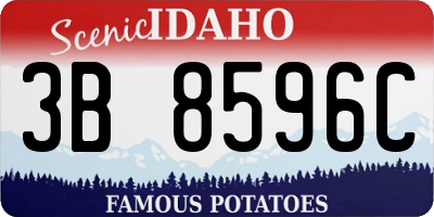 ID license plate 3B8596C