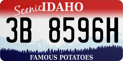 ID license plate 3B8596H