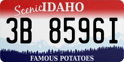 ID license plate 3B8596I