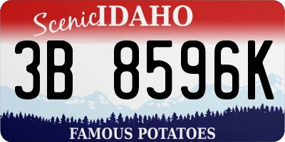 ID license plate 3B8596K