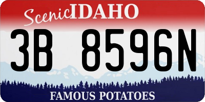 ID license plate 3B8596N