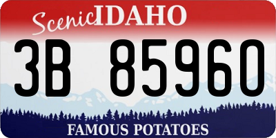 ID license plate 3B8596O