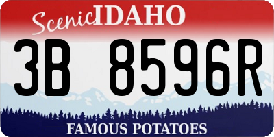 ID license plate 3B8596R
