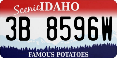 ID license plate 3B8596W