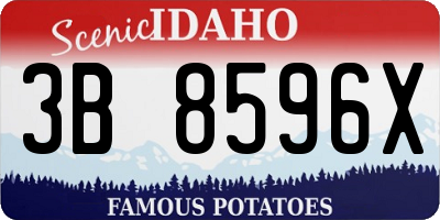 ID license plate 3B8596X