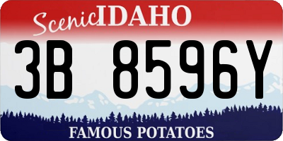 ID license plate 3B8596Y