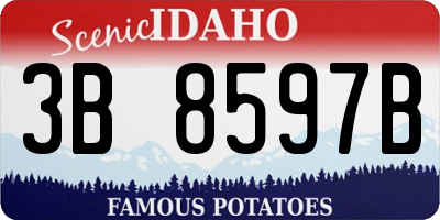 ID license plate 3B8597B