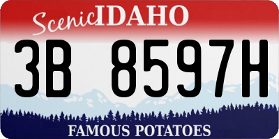 ID license plate 3B8597H