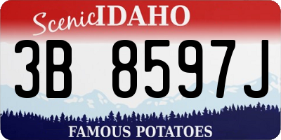 ID license plate 3B8597J