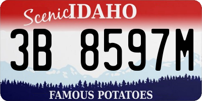 ID license plate 3B8597M