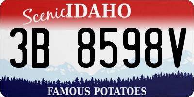 ID license plate 3B8598V