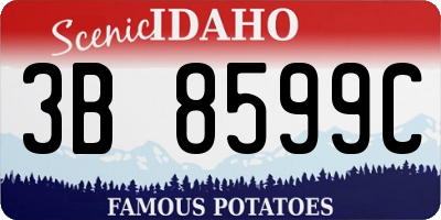 ID license plate 3B8599C