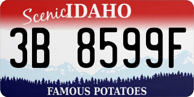 ID license plate 3B8599F