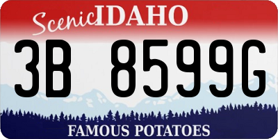 ID license plate 3B8599G
