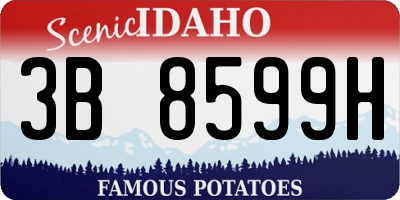 ID license plate 3B8599H