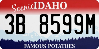 ID license plate 3B8599M