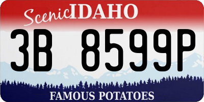 ID license plate 3B8599P