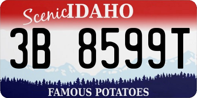 ID license plate 3B8599T
