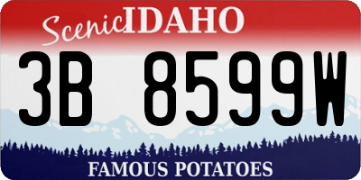 ID license plate 3B8599W