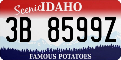 ID license plate 3B8599Z
