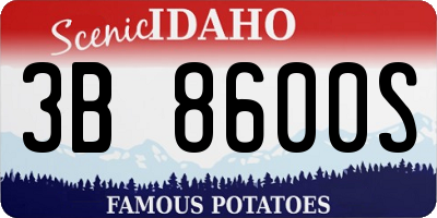 ID license plate 3B8600S