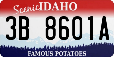 ID license plate 3B8601A