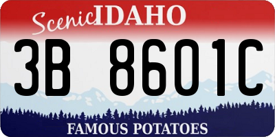 ID license plate 3B8601C