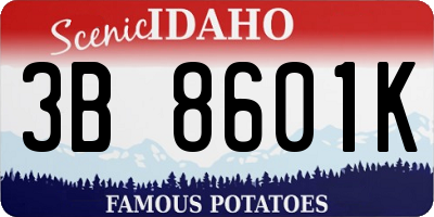 ID license plate 3B8601K