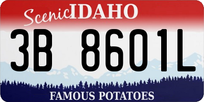 ID license plate 3B8601L