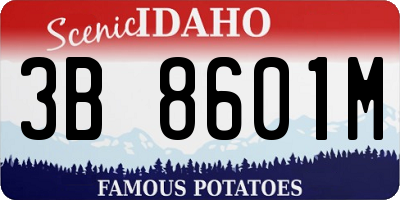 ID license plate 3B8601M