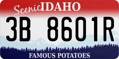 ID license plate 3B8601R