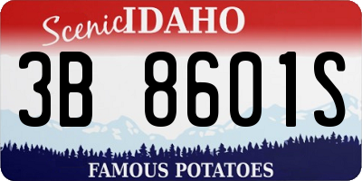 ID license plate 3B8601S