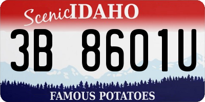 ID license plate 3B8601U