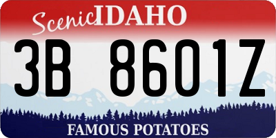 ID license plate 3B8601Z